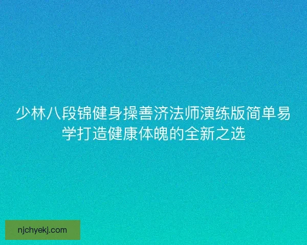 少林八段锦健身操善济法师演练版简单易学打造健康体魄的全新之选 少林八段锦健身操善济法师演练版简单易学打造健康体魄的全新之选