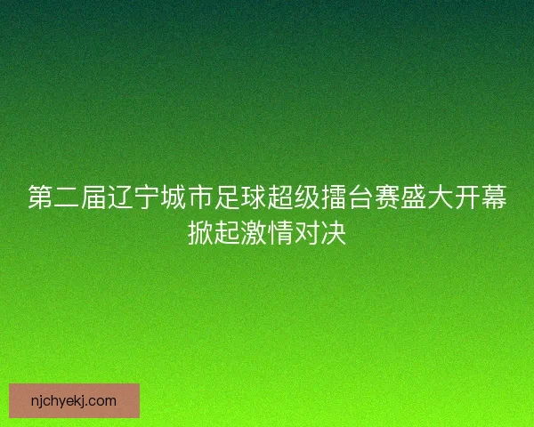 第二届辽宁城市足球超级擂台赛盛大开幕掀起激情对决